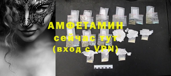амф Вяземский