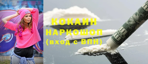 индика Вязники