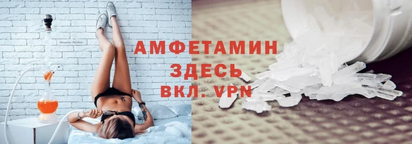 индика Вязники