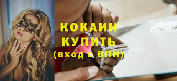 индика Вязники