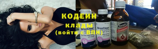 индика Вязники