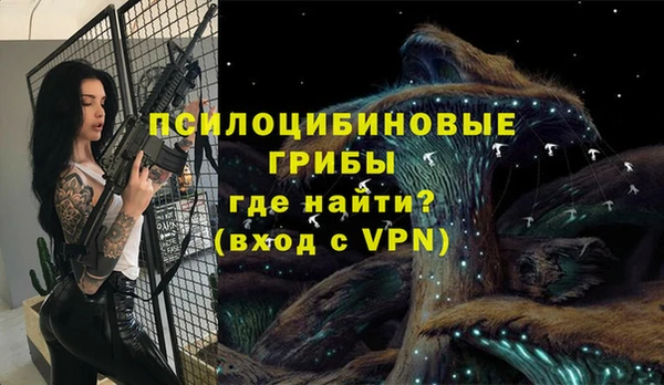 амф Вяземский