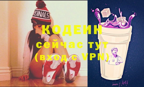 индика Вязники