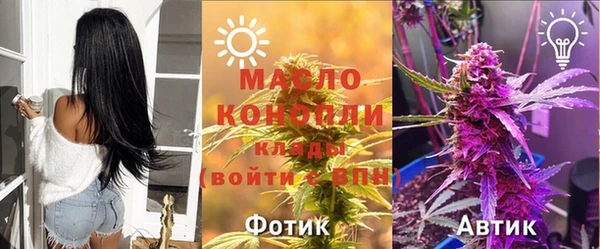 амф Вяземский