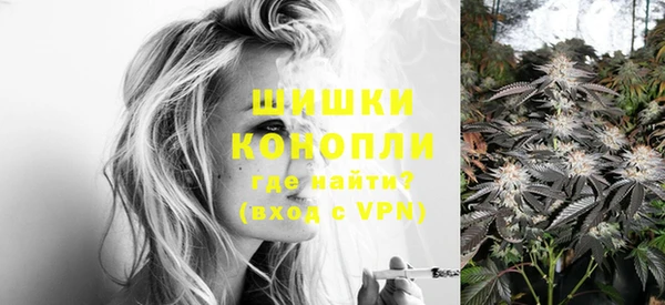 индика Вязники