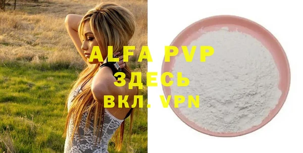 индика Вязники