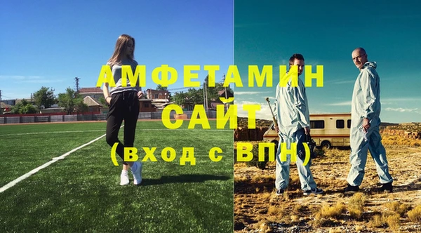 сатива Бородино